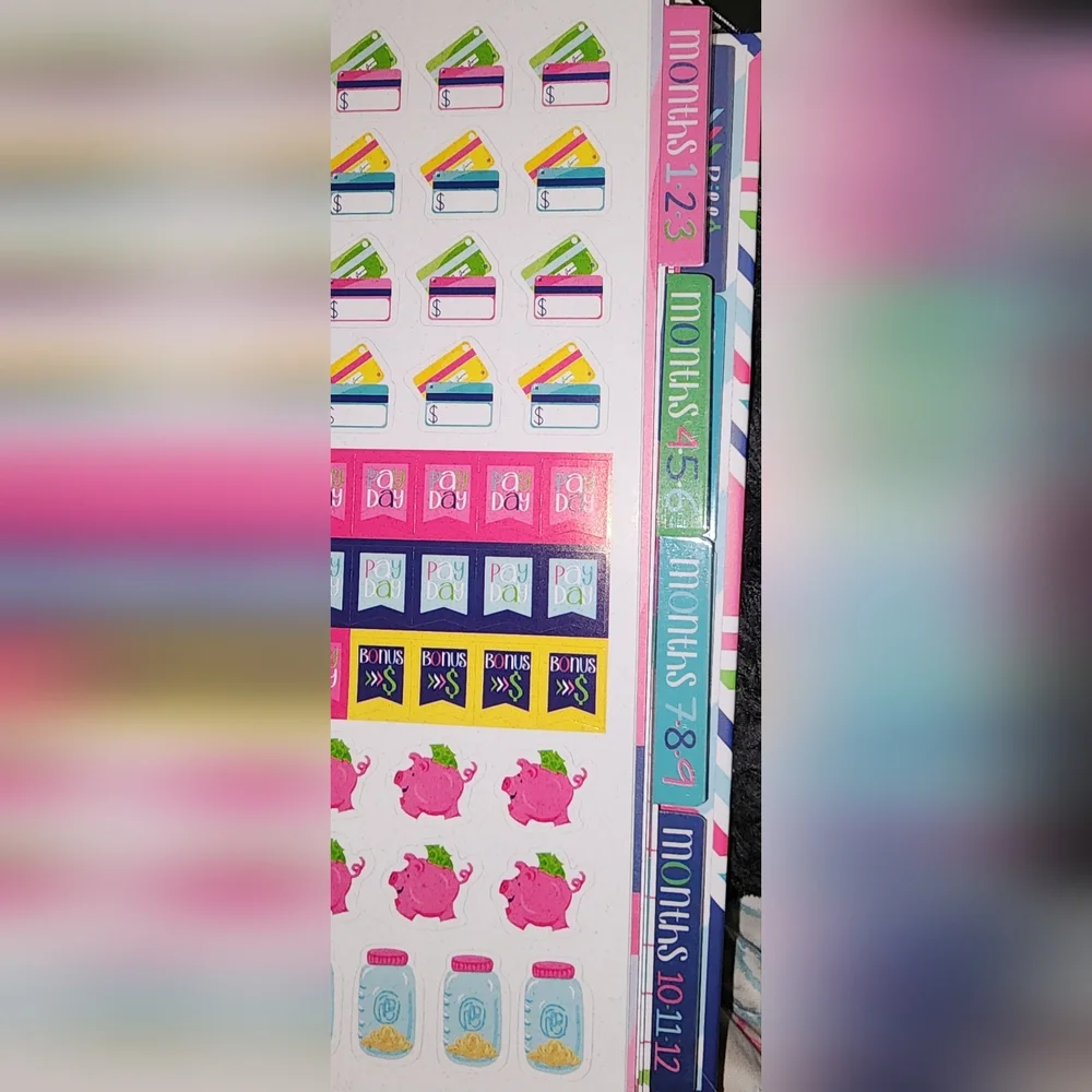 Budget Organizer - Pink, Blue, Green